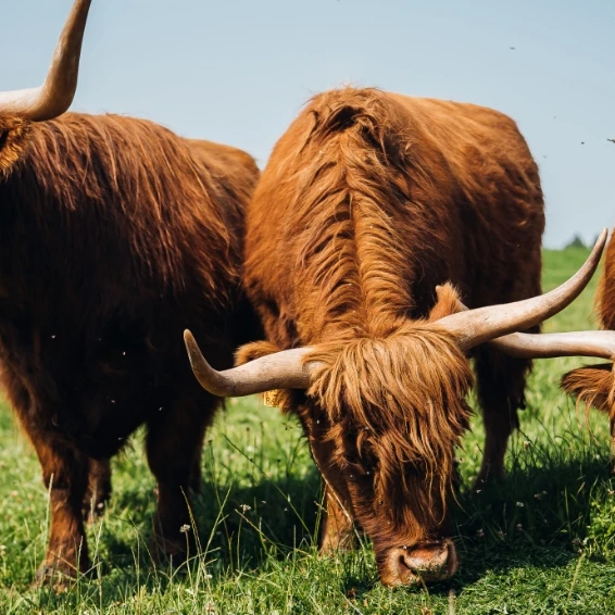 26 - Fischtagging-85