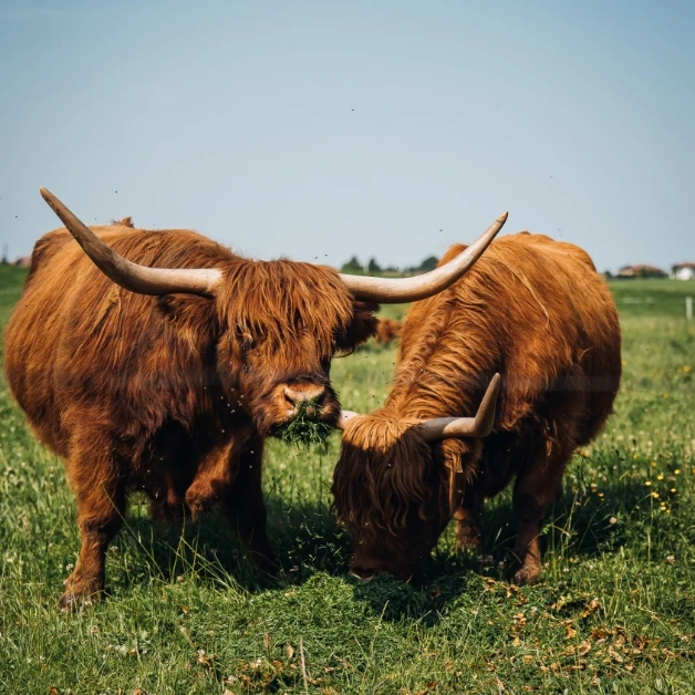 23 - Fischtagging-82@2x